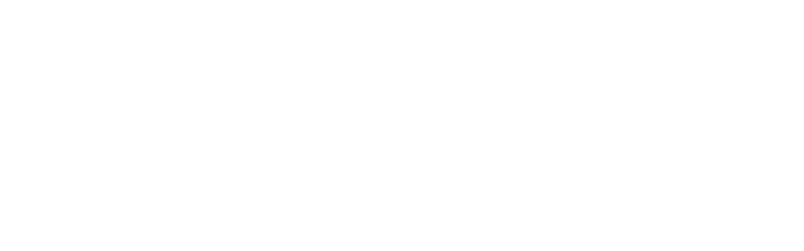Joudina logo